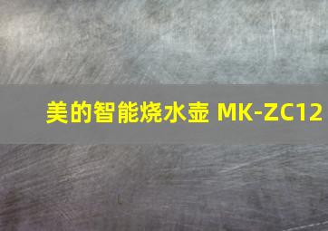 美的智能烧水壶 MK-ZC12